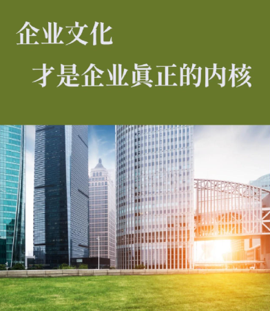 2024年企业数据管理系统价格构成与采购成本分析